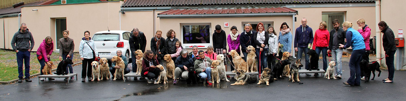 Groupe de famille d'élevage en cours d'obéissance