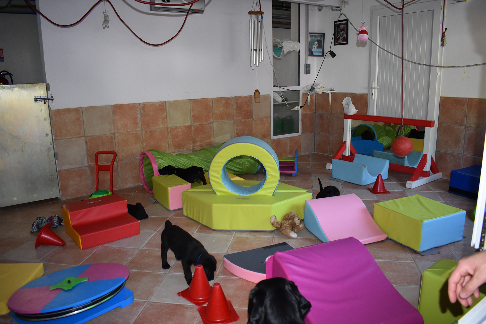 Salle d'éveil Salle d'éveil
