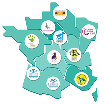 La composition du conseil d’administration est faite par un membre de chaque association fédérée et quelques membres individuels. La composition du conseil d’administration est faite par un membre de chaque association fédérée et quelques membres individuels.
